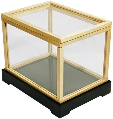 Illusion Money Box - image 1