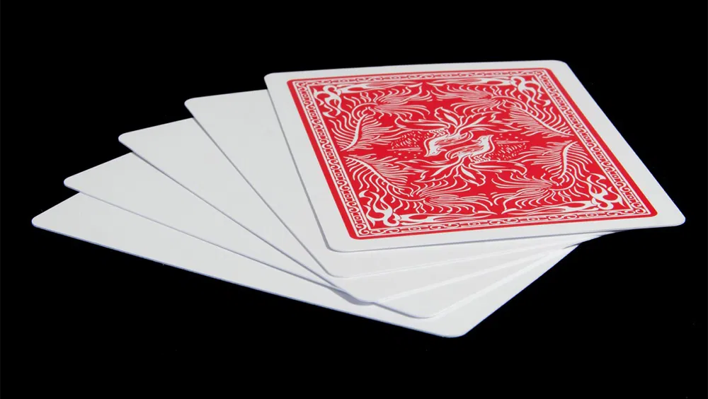 Insight Blank Face Cards