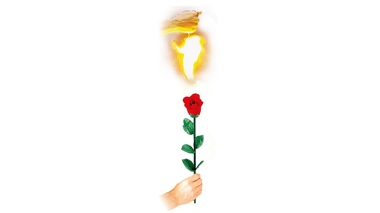 Instant Rose - thumbnail 2