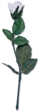 Instant Rose Creation - image 1