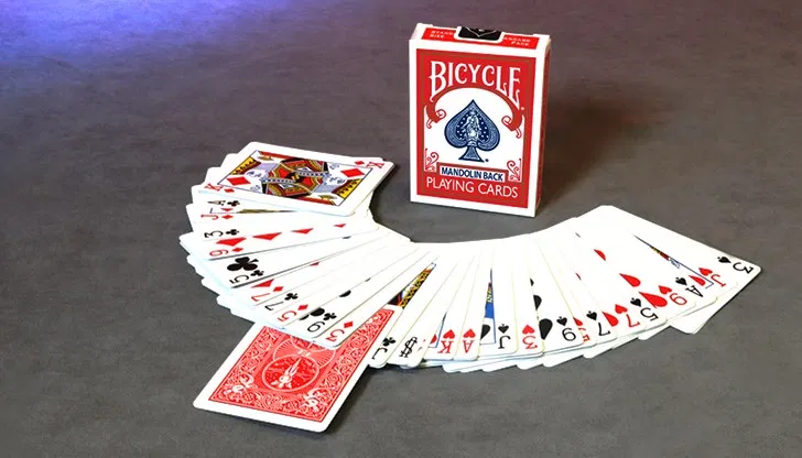 Bicycle Mandolin Back Invisible Deck  - image 3