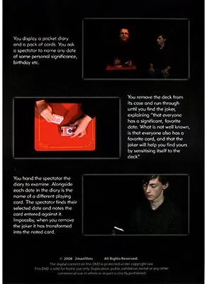 Joker's Diary - image 2