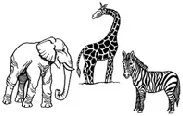 Jumbo Deja Zoo trick Samuel Patric