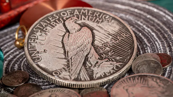 Jumbo Peace Dollar - image 6