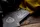 Killer Bees - image 6