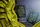 Killer Bees - image 7