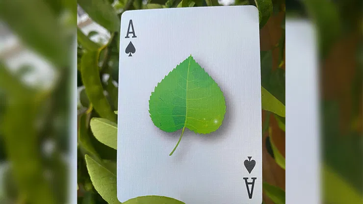 Leaf Playing Cards - image 6
