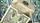 Legal Tender Playing Cards - US Version - image 2