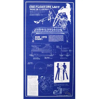 Levitation Poster, in tube