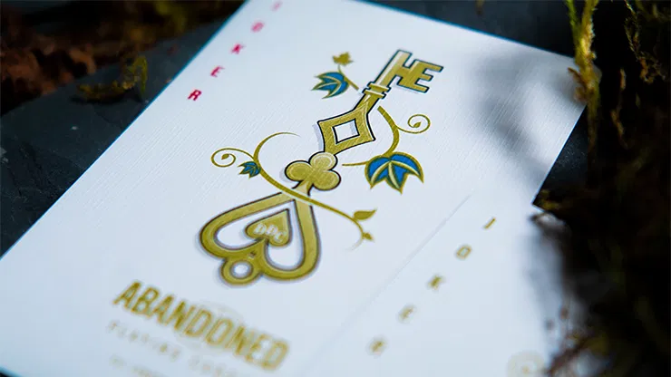 Limited Edition Abandoned Deluxe Playing Cards - image 5