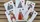 Limited Edition Cotta's Almanac #3 Transformation Playing Cards - image 4