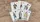 Limited Edition Cotta's Almanac #4 Transformation Playing Cards - image 3