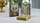 Limited Gilded Bicycle Cupid Playing Cards - image 1