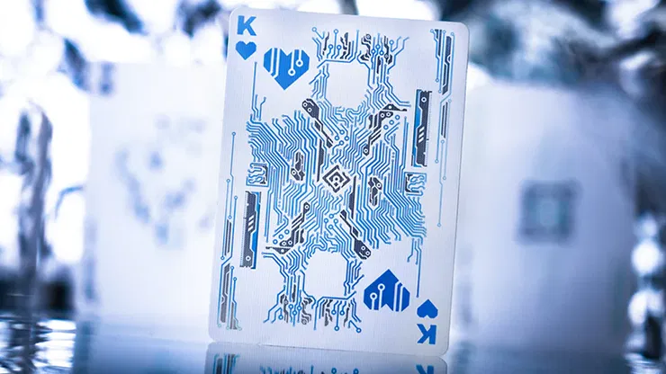 Lithography Playing Cards - image 4