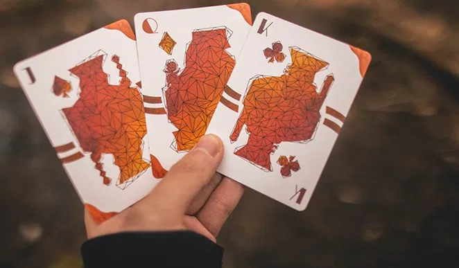 Lost Deer Jungle Edition Playing Cards - image 4