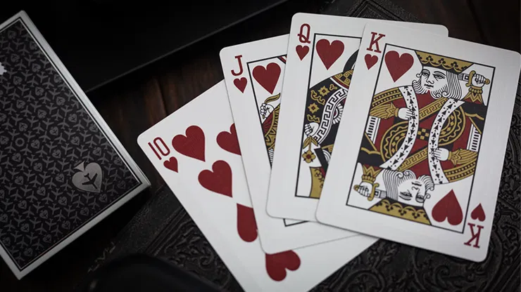 Jetsetter Playing Limited Back Lounge Edition Playing Cards (Tarmac Black) - image 4