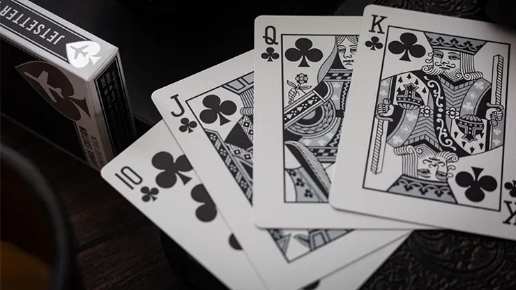 Jetsetter Playing Cards Lounge Edition (Unmarked) - image 5