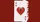 Luck Comes Easy Playing Cards - image 2