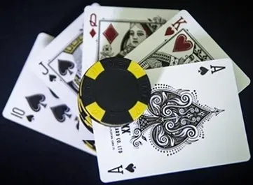 LUXX Playing Cards: Shadow Edition Gold (Second Edition) - image 6