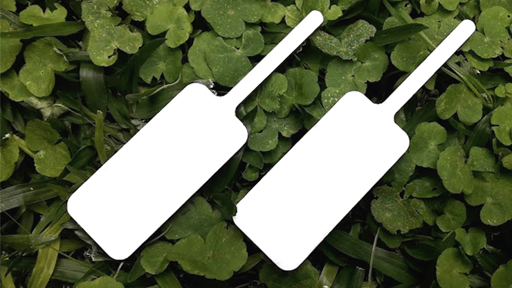 Magic Board Paddles - thumbnail 2