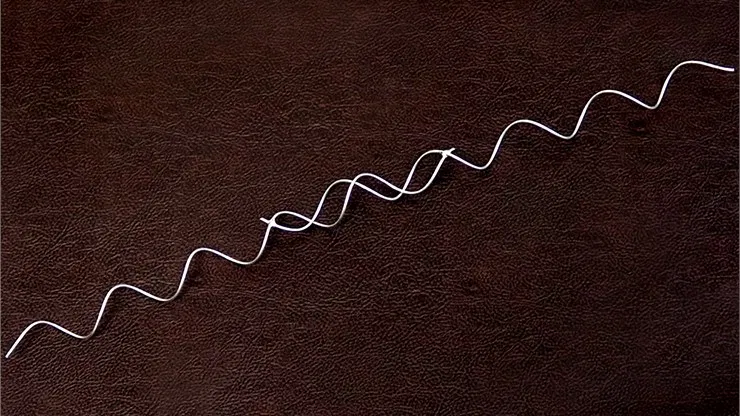 Magic Spiral