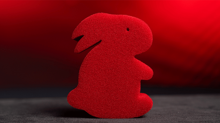 Magic Sponge Bunny Rabbit Set