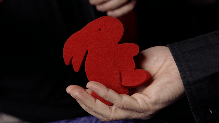 Magic Sponge Bunny Rabbit Set