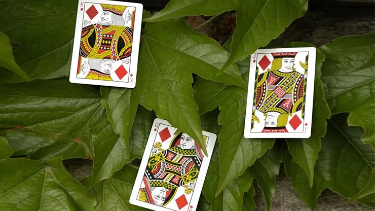 Mantis Playing Cards - image 6