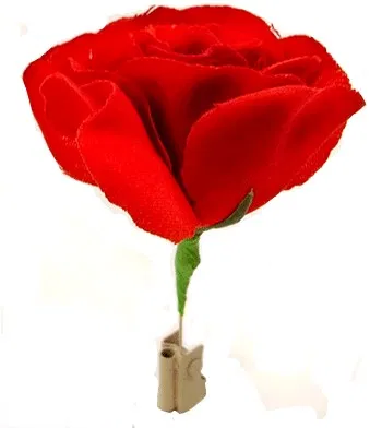 Match to Rose