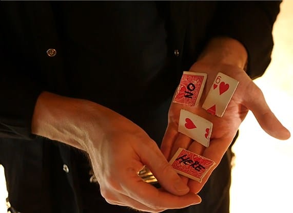 MEDIUM - thumbnail 6