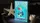 Mermaid Playing Cards - image 1