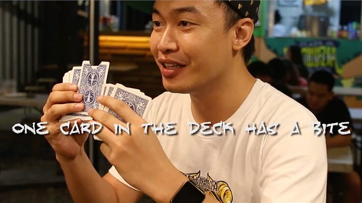 MFX Card - thumbnail 4
