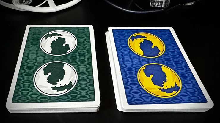 Michigan Euchre Playing Cards - image 6