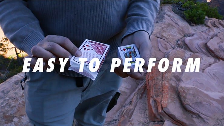 Micro - thumbnail 4