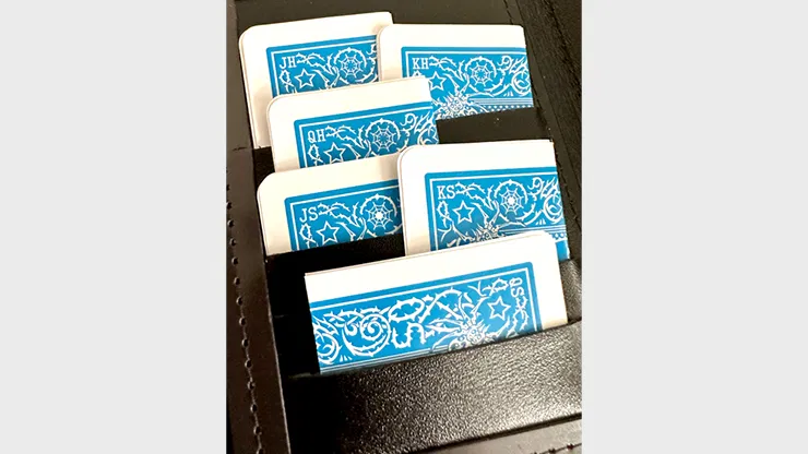 Mis-Indexed Court Cards (Set of 12) - image 4
