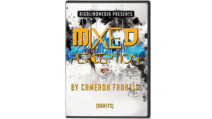 MIXED PERCEPTION - image 1