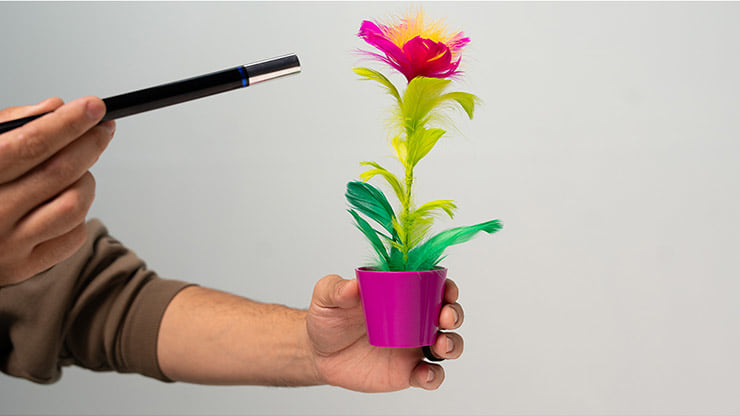Miracle Wand To Flower - thumbnail 4