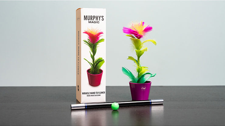 Miracle Wand To Flower - image 1