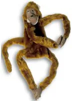 Monkey For Ventriloquism