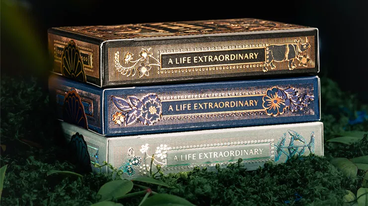 Mooi Collector's Edition BOXSET - image 3