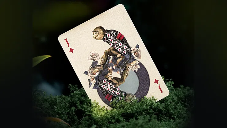 Moooi Collector's Edition - image 2