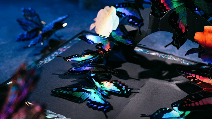 Morpho V2 Playing Cards Collection Boxset | Vanishing Inc. Magic