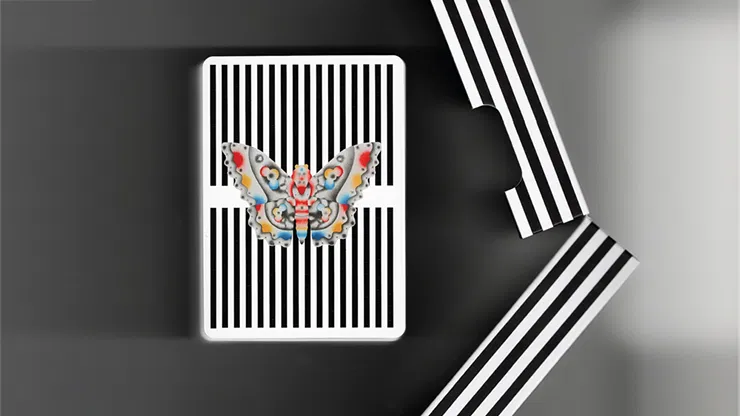 Moths - image 4