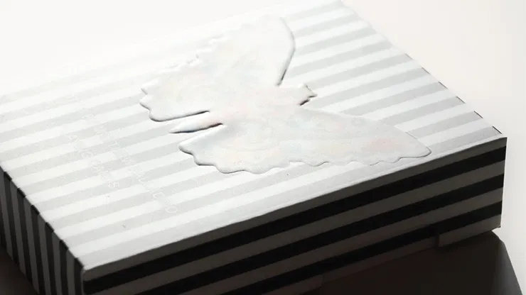 Moths - image 6