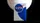NASA Foil Meatball Logo Playing Cards - image 1
