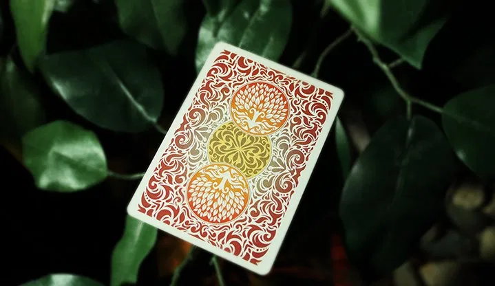 Bicycle National Parks  Playing Cards - "Great Smoky Mountains" - image 9