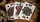 No.13 Table Players Volume 25 Playing Cards - image 4