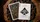 No.13 Table Players Volume 31 Playing Cards - image 3