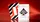 No.13 Table Players Volume 35 Playing Cards - image 3