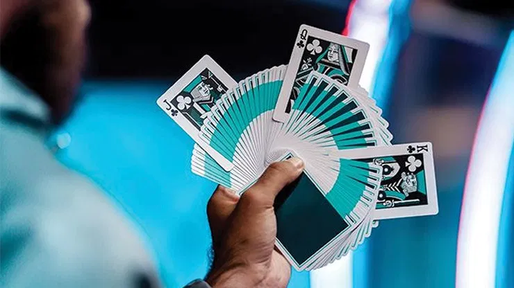 NOC 3000X1 Playing Cards - image 3